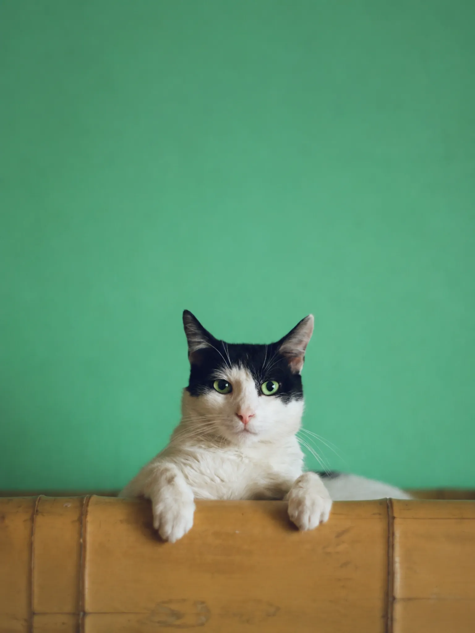 Tablet XL crop - 1536×2048